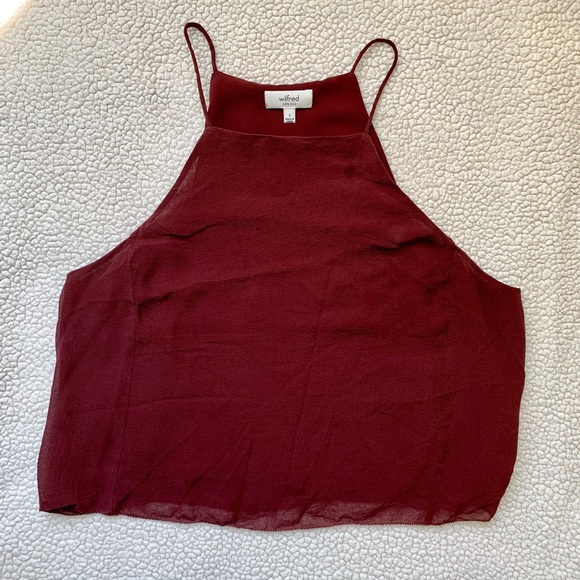 Wilfred Tops - Wilfred Aritzia Silk crop top pumb S